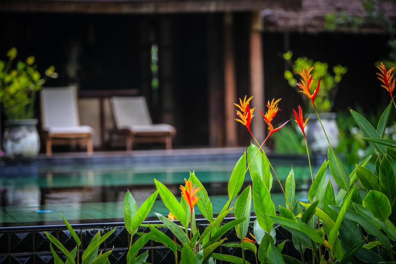 Azalea Village Chiang Dao Εξωτερικό φωτογραφία